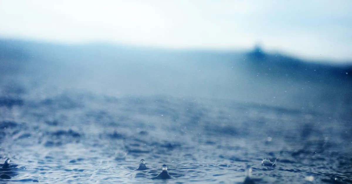 Del Mar Ocean View Dining I Ate All Here s travel landscape